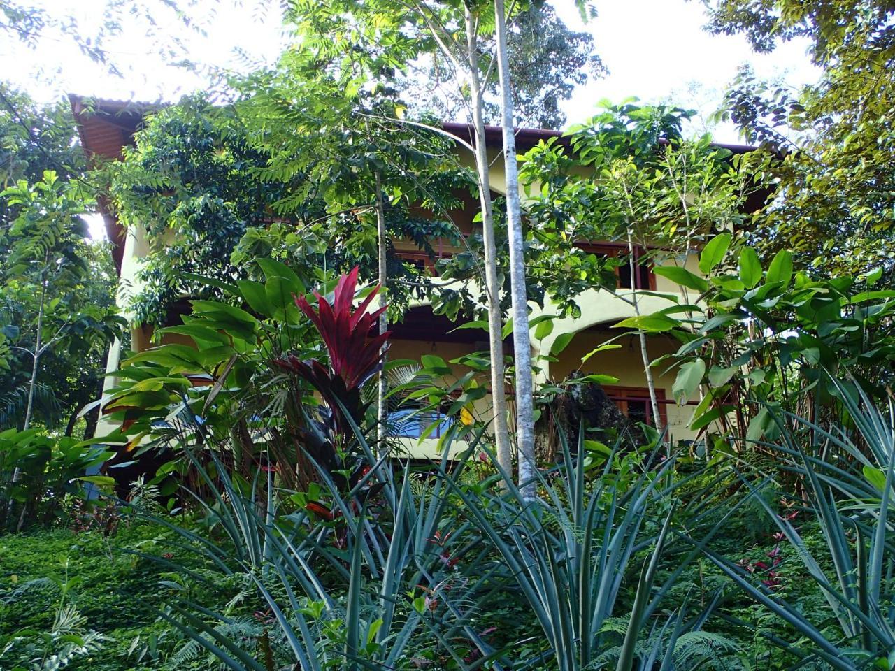 Morrillo Beach Eco Resort Exterior foto